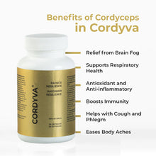 Cordyva - Natural Health Energizer