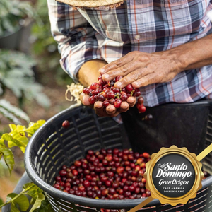 Santo Domingo Coffee Whole 1LB | Cafe Premium Dominican Beans